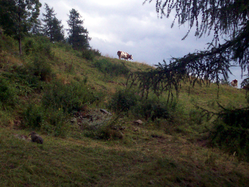 Chamois e colle Chaney